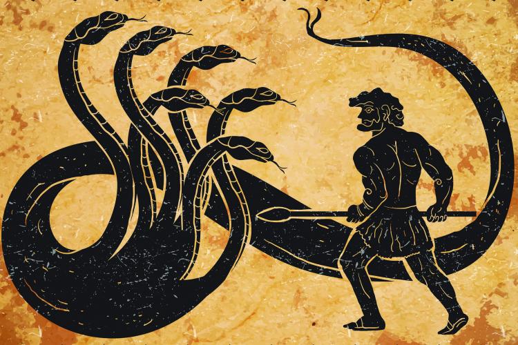 Hydra