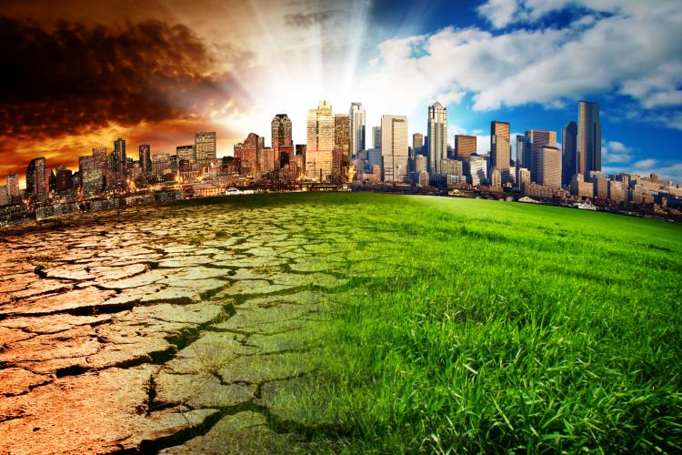 Climate Policy & Investing