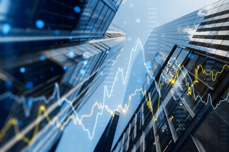 A Complex Year Ahead